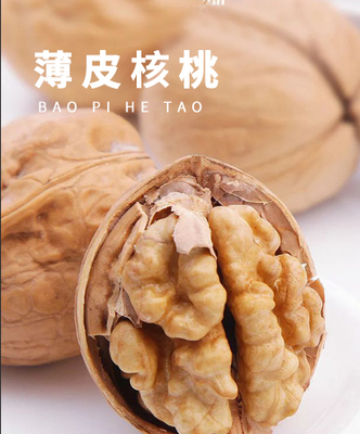 薄皮核桃